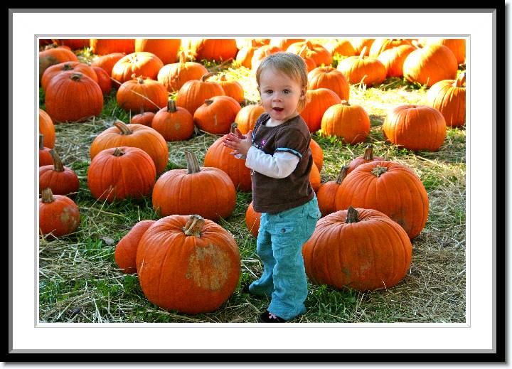 Click for the original image