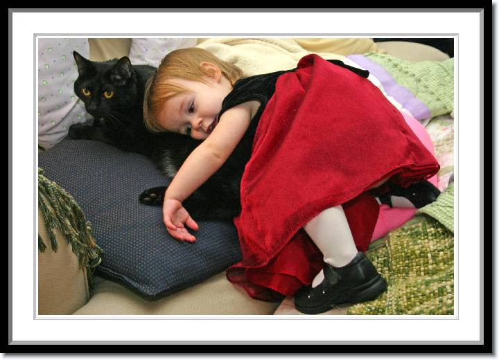 Click for the original image