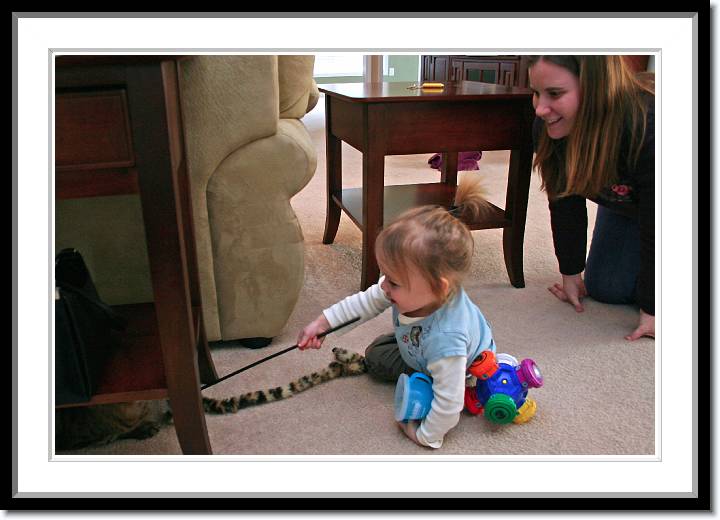 Click for the original image