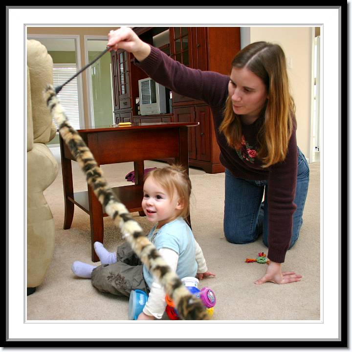 Click for the original image