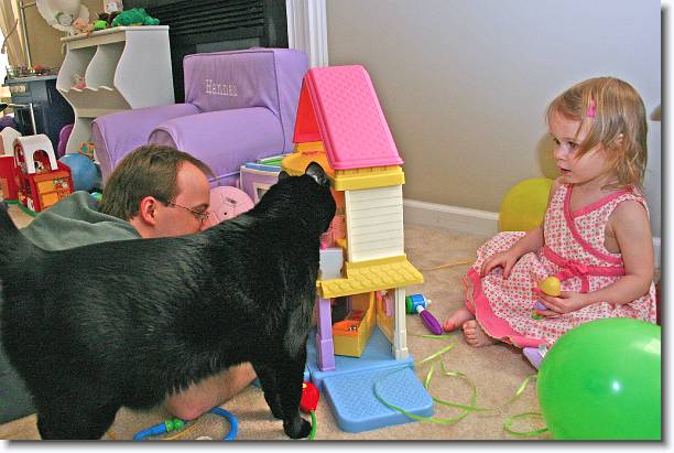 Click for the original image