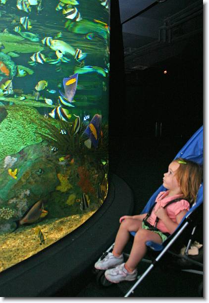 Click for the original image