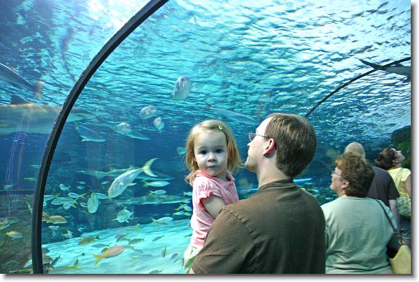 Click for the original image