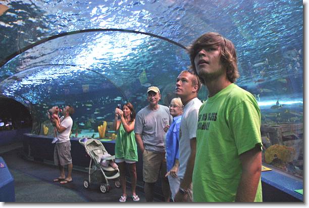 Click for the original image