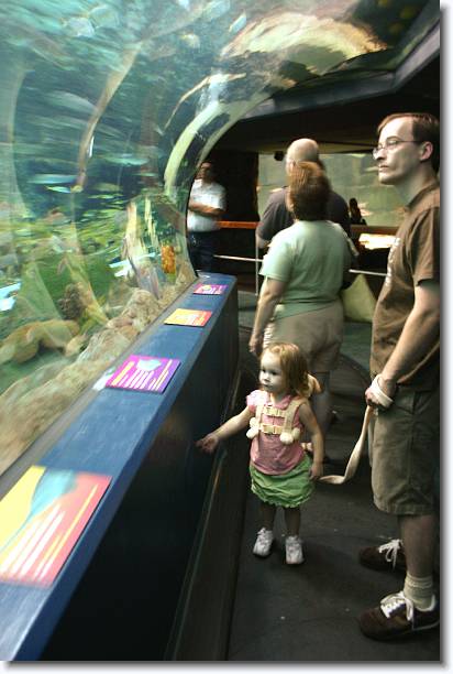 Click for the original image