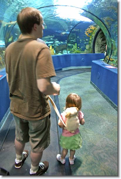 Click for the original image