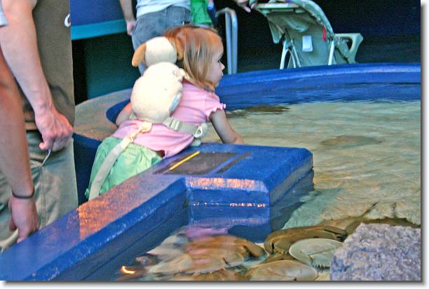 Click for the original image