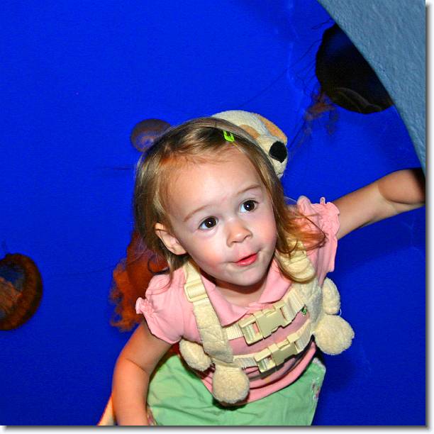 Click for the original image