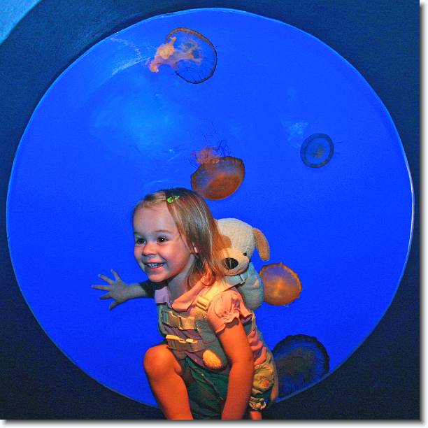 Click for the original image