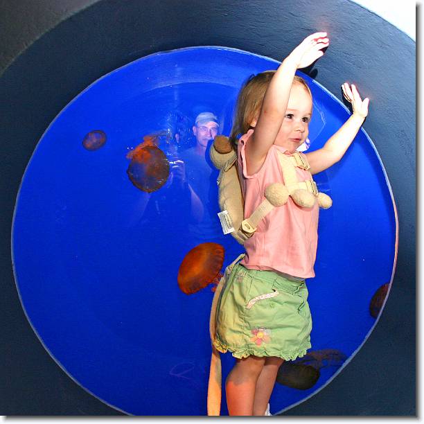 Click for the original image