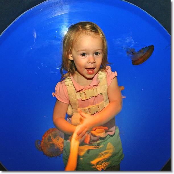 Click for the original image