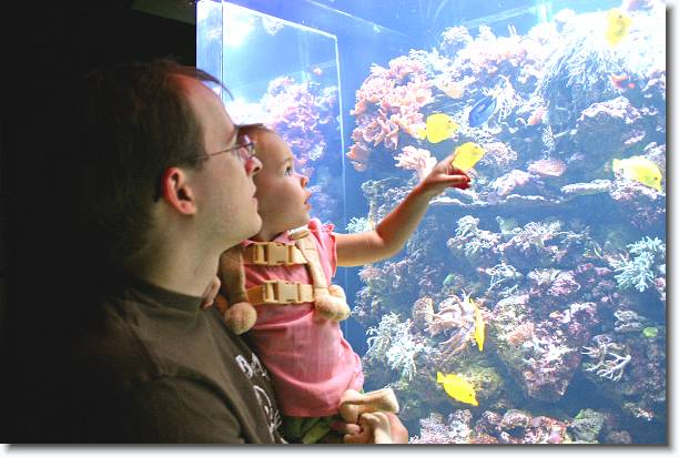 Click for the original image