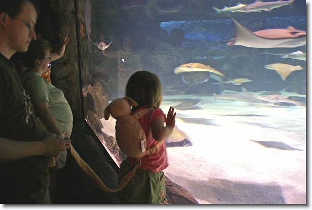 Click for the original image