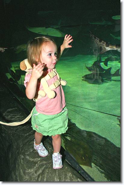 Click for the original image