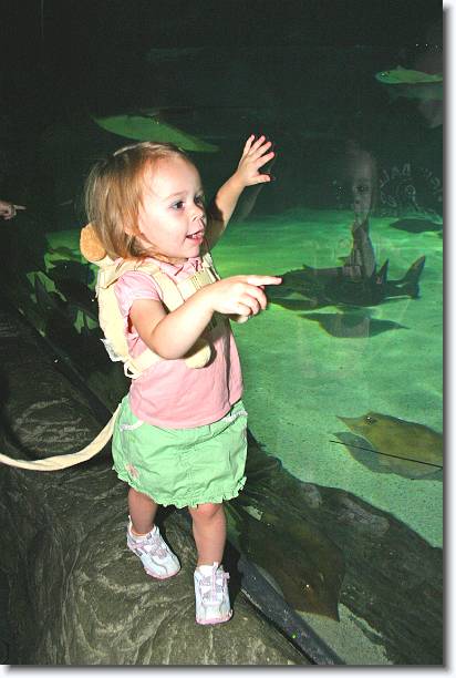 Click for the original image