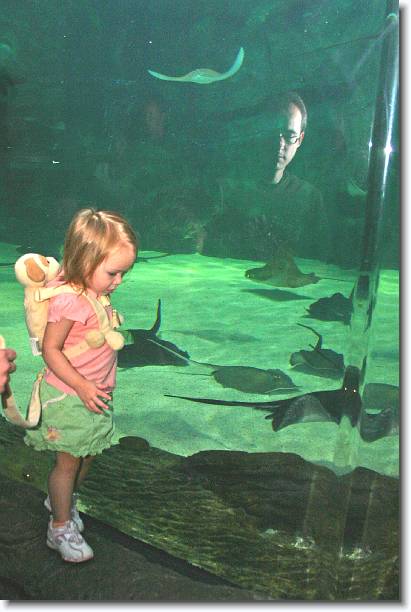 Click for the original image