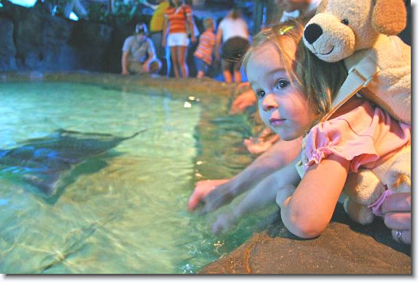 Click for the original image