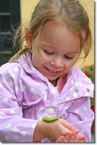 Click for the original image