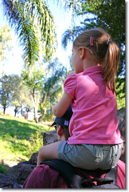 Click for the original image