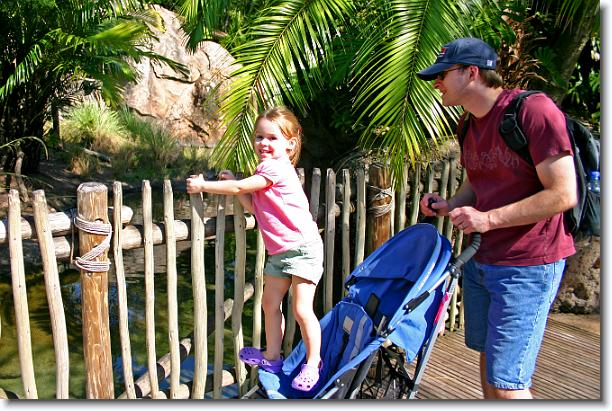 Click for the original image