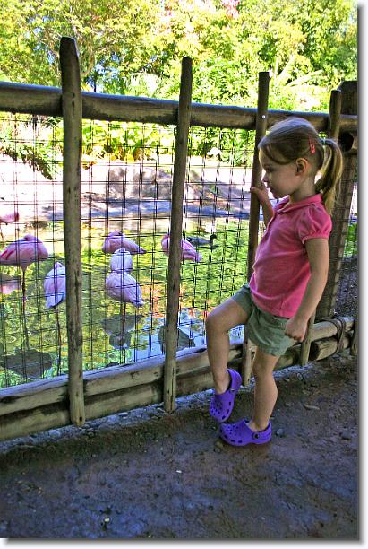 Click for the original image