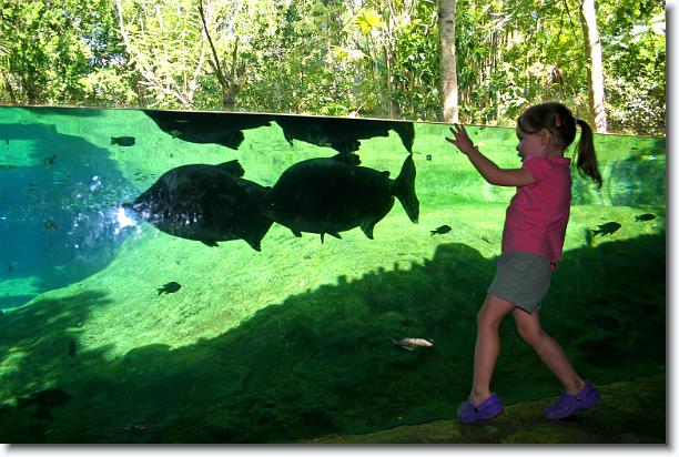 Click for the original image