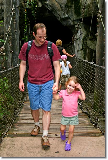 Click for the original image