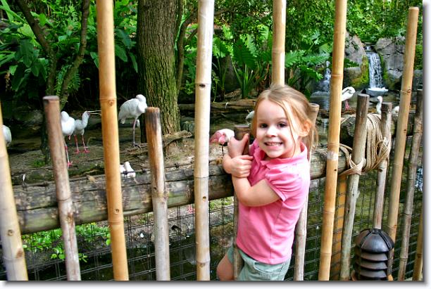 Click for the original image