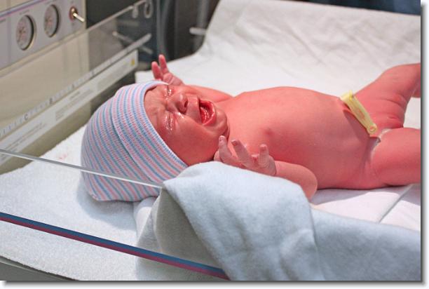 Click for the original image