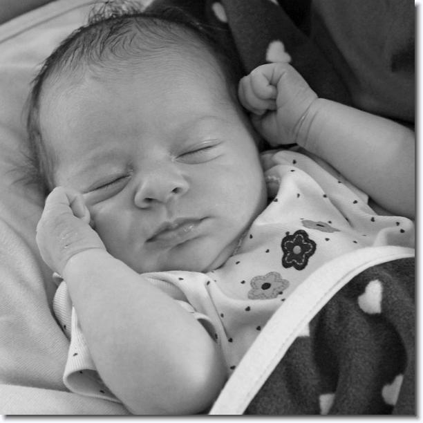 Click for the original image