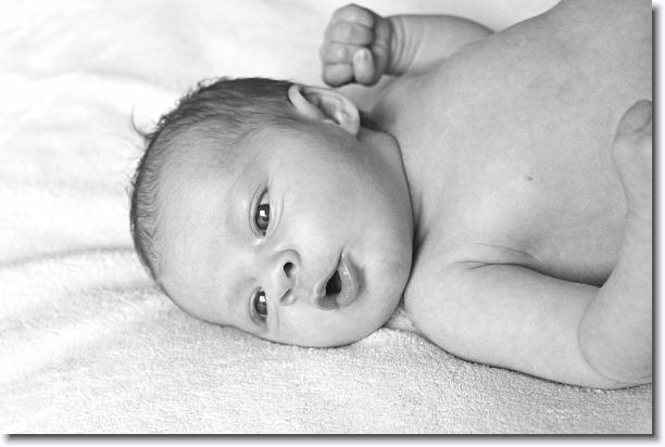 Click for the original image