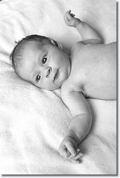 Click for the original image