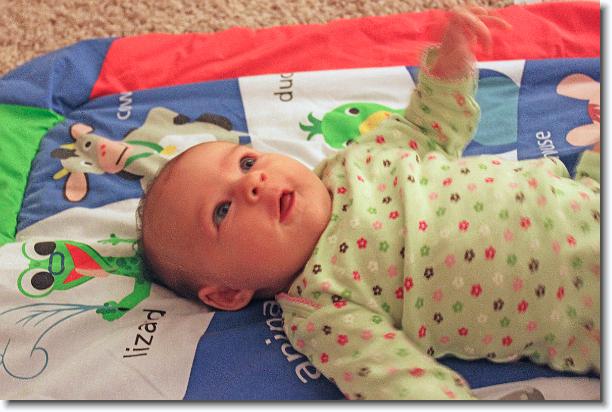 Click for the original image