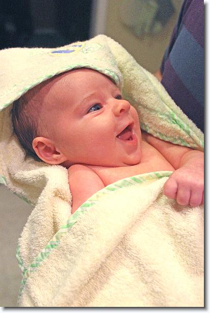 Click for the original image