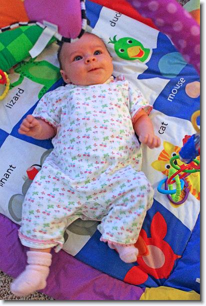 Click for the original image