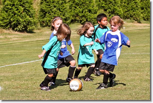 Click for the original image