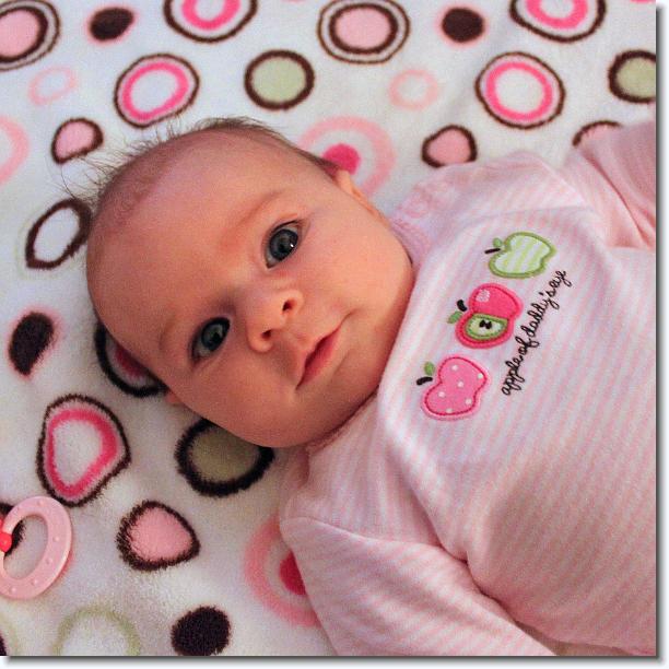 Click for the original image