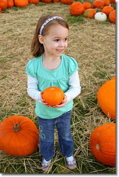 Click for the original image