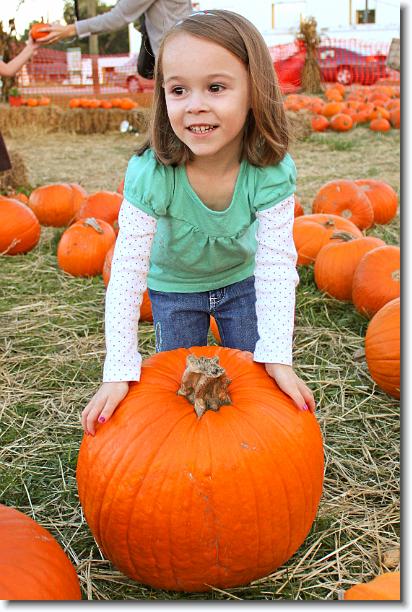 Click for the original image