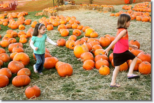 Click for the original image