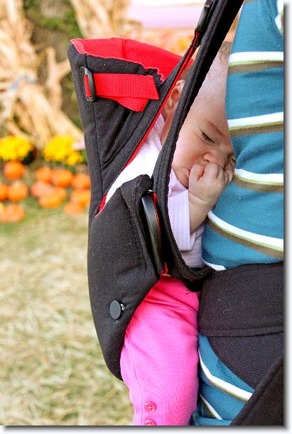 Click for the original image