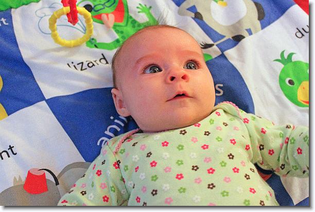 Click for the original image