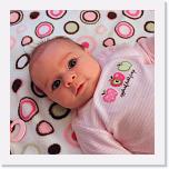 2009-10-019 * 2788 x 2788 * (6.08MB)