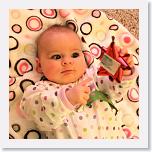 2009-12-51 * 3168 x 3168 * (8.98MB)