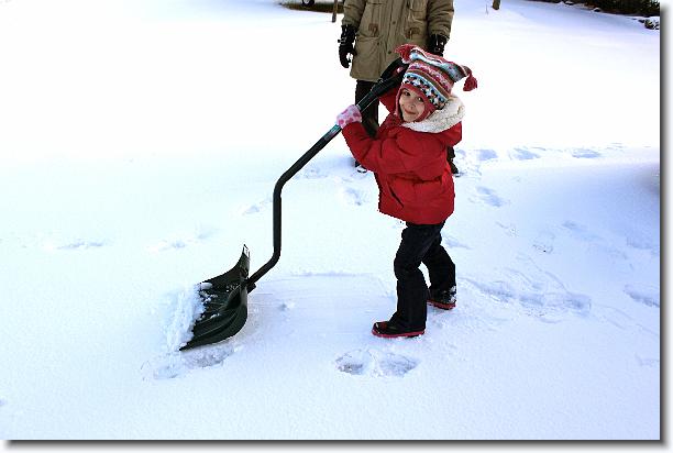 Click for the original image