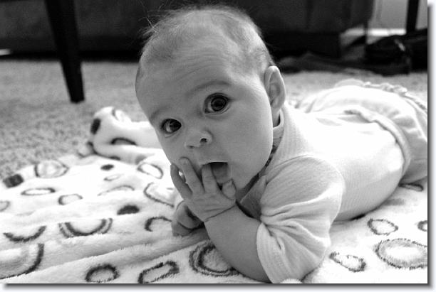 Click for the original image