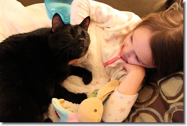 Click for the original image