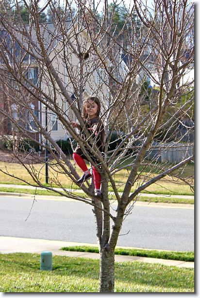 Click for the original image