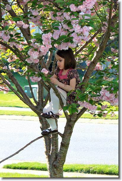 Click for the original image