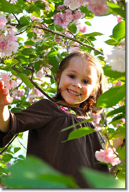 Click for the original image